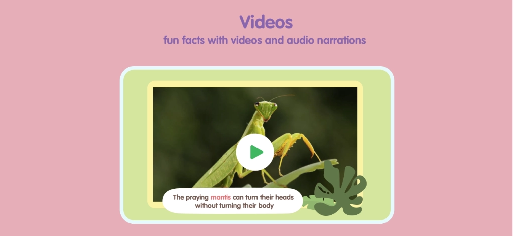 Insects and Bugs for Kids (Ages 4+) screenshot 6