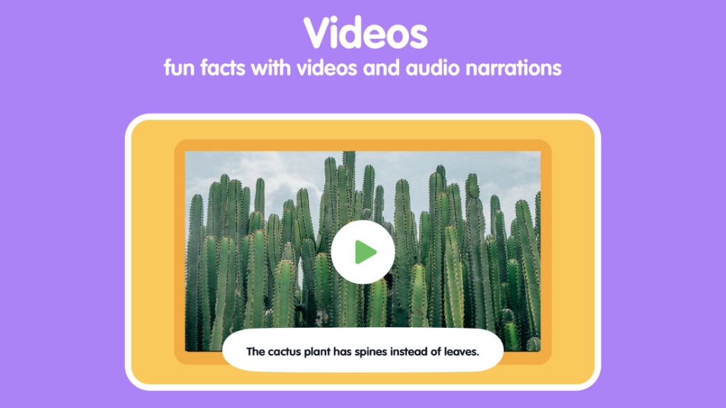 Desert Animals for Kids: Learn Names & Facts screenshot 6