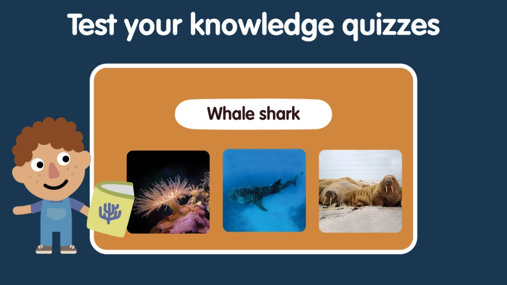 Ocean Animals for Kids screenshot 8