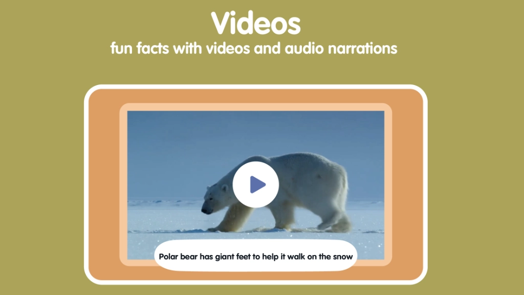 Polar Animals for Kids: Learn Names & Facts screenshot 6